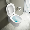 E008701 Конзолна тоалетна чиния с седалка с плавно